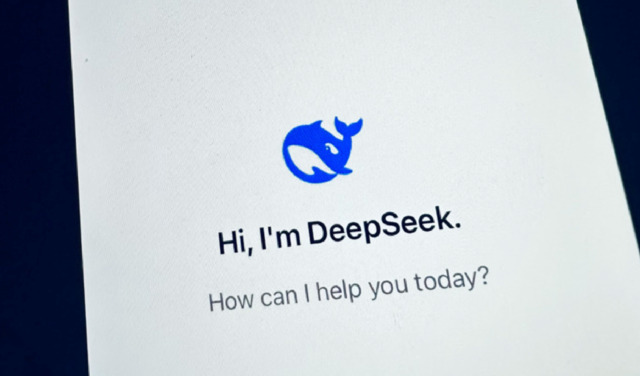 deep-seek-2856-fi