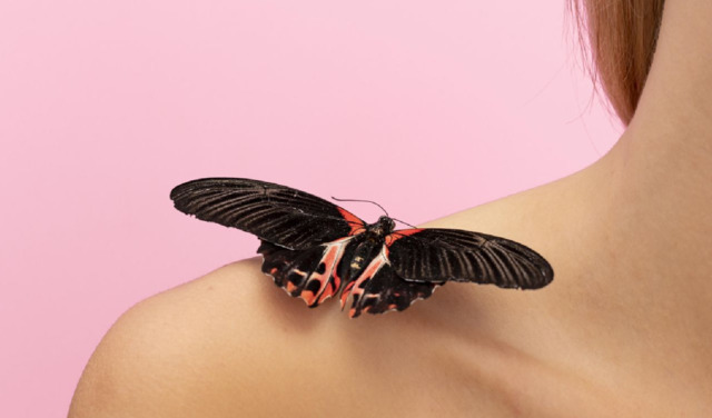 butterfly-5407-fi