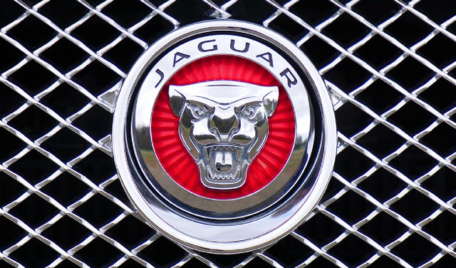 jaguar-3577-fi